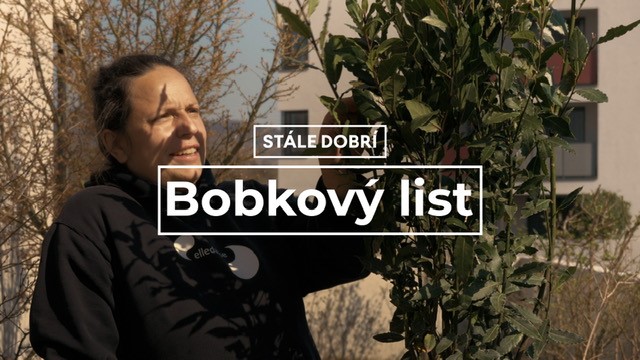 Bobkový list