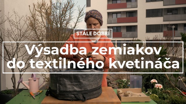 Výsadba zemiakov do textilného kvetináča