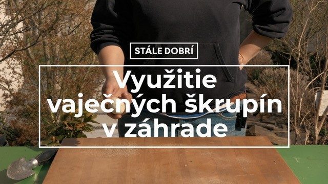 Využitie vaječných škrupín v záhrade