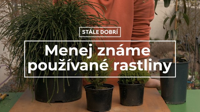 Menej známe používané rastliny