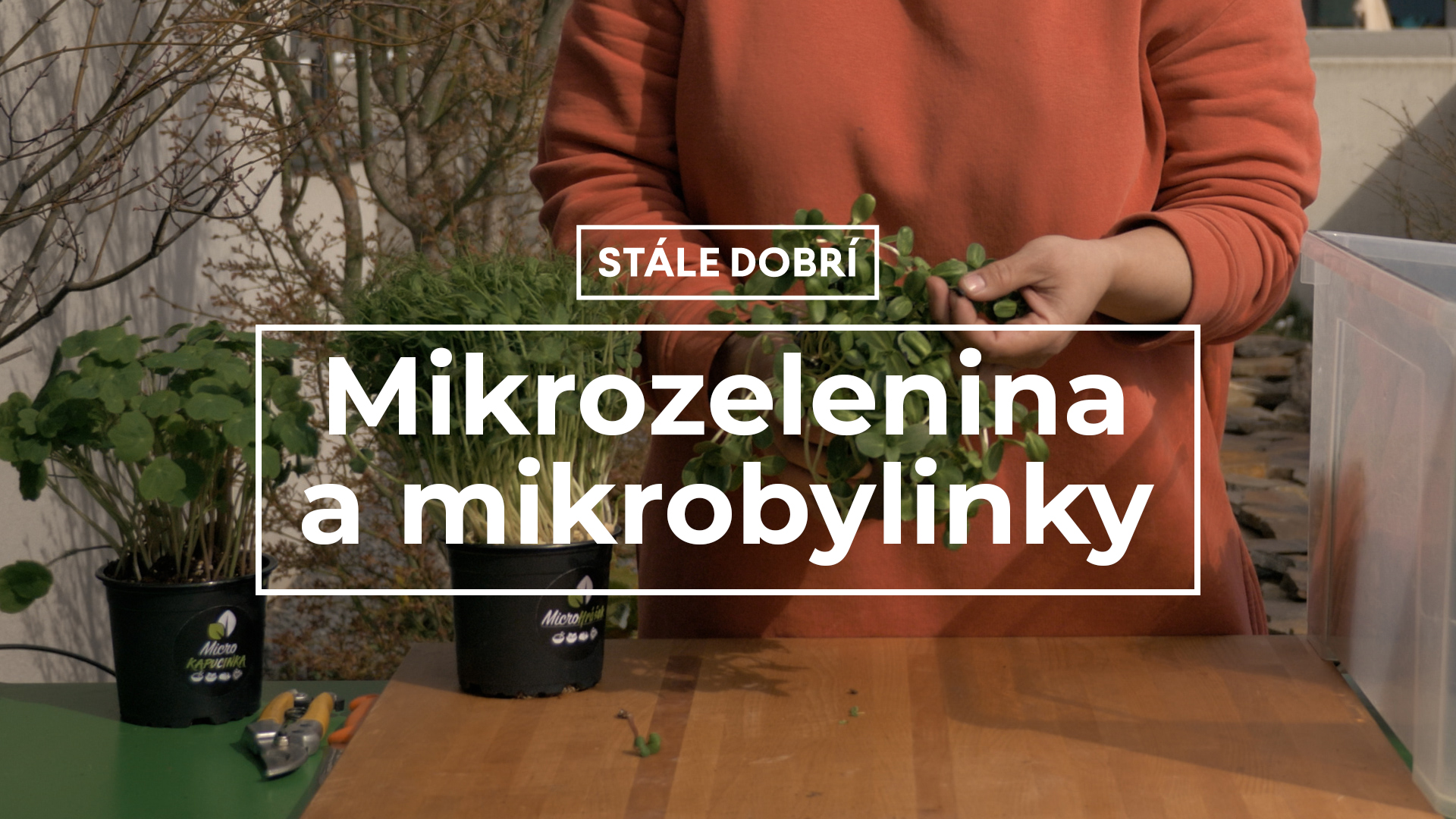 Mikrozelenina a mikrobylinky