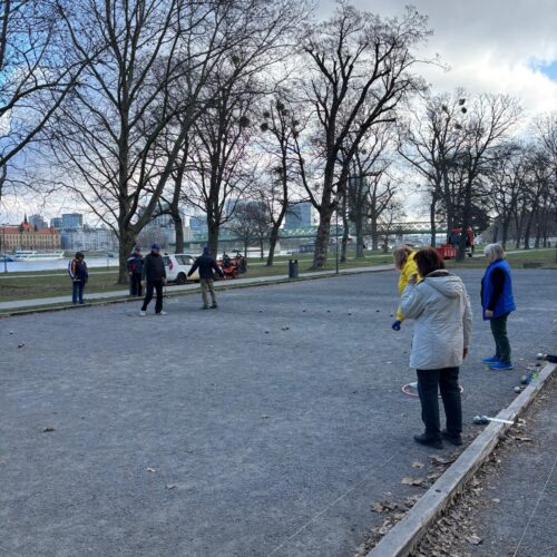 WhatsApp Image 2026-03-17 at 10.35.56